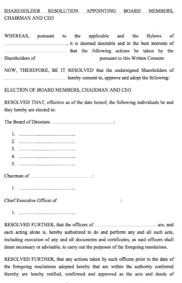 Shareholders resolution appointing board members, chairman and CEO